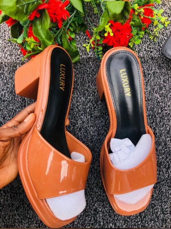 Luxurious Ladies Footwear