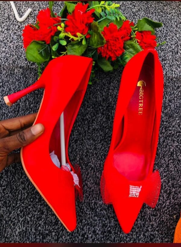 Ladies High Heels Shoe